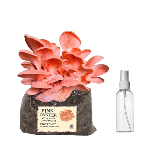 Environet Pink Oyster Mushroom Growing Kit, Starter-Friendly & Fast Harvest