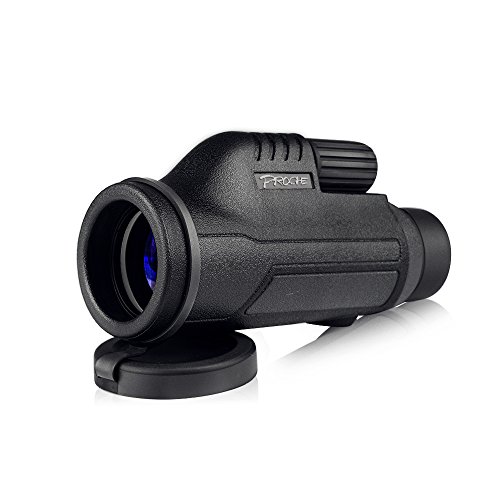 Best Scopes For Hunting Camping