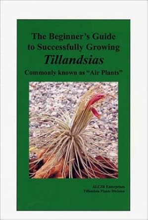 The Beginner's Guide to Successfully Growing Tillandsias: Commonly