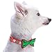 Blueberry Pet 4 Patterns Christmas Joy Snowflakes and Trees Adjustable Dog Collar with Detachable Bow Tie, Small, Neck 12