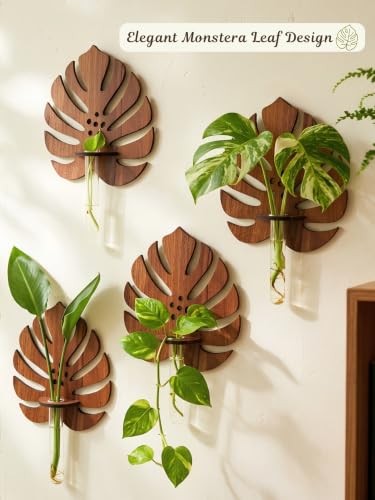 Image of Bombay Greens ; Sow, grow, eat, repeat Monstera Planter with Test Tube Wooden Holder | Indoor Planter Stand | Wooden Planter for Home Decor, Living Room, Balcony & Office Decoration - 1 Pc