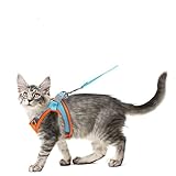 Diseño de tira reflectante: este es un nuevo tipo de arnés de chaleco totalmente reflectante con tiras reflectantes entrelazadas que pueden mantener a tu mascota visible en condiciones de poca luz, noche oscura, día tenue y clima lluvioso para mejorar la seguridad de tus mascotas cuando caminan.