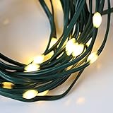 QBIS 30 LED Battery Operated Christmas Lights, Outdoor Warm White Christmas Lights, Battery Powered String Lights with Timer, Waterproof Fairy Lights, Green Wire, Indoor/Outdoor Christmas Decorations
