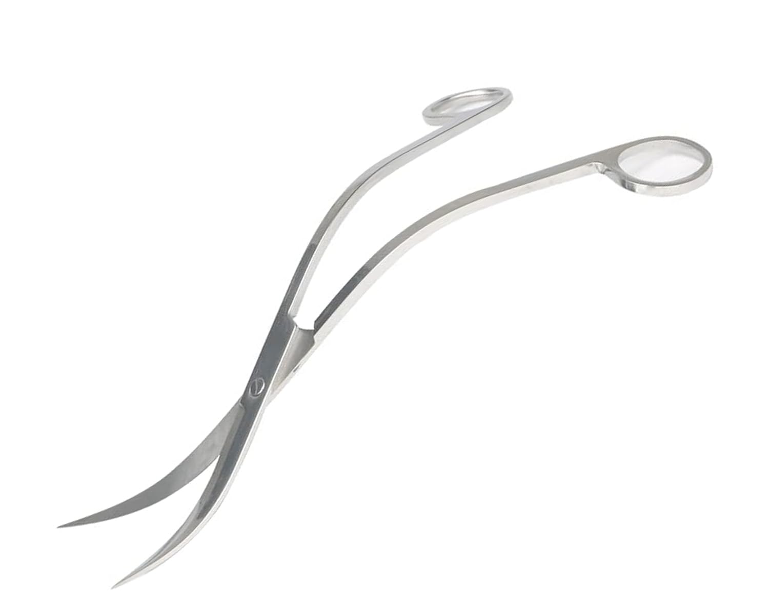 Forbici curve in acciaio inox per acquario, 25 cm, forbici per piante acquatiche, strumento per acquari