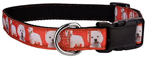 Country Brook Petz - Deluxe West Highland Terrier on Black Ribbon Dog Collar Limited Edition - Breed Pride Collection Featuring Unique Designs for Every Style (3/4 Inch, Small)