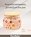 PieceRelax 3D Puzzle Jar 64 Plastic Pieces for Adults - Sweetness of Strawberry Wooden Lid Container for Kitchen Dining Study Living Room No Glue Requied Small [BC1026]