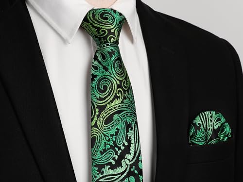 Image of HISDERN Ties for Men Paisley Tie and Pocket Square Woven Classic Floral Mens Ties Handkerchief Set Wedding Party Necktie