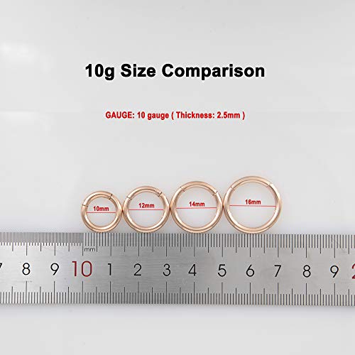 Image of FANSING Men Women 316L Surgical Steel Hinged Nose Rings Hoop for Nostril Septum Cartilage Helix Daith Tragus Rook Conch Lip Ear Lobe Piercings