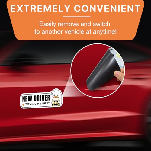 Image of Student Driver Magnet