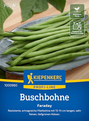 Kiepenkerl Profi-Line Buschbohnensamen Faraday 1000980 Gemüsesamen für eine resistente Filetbohne mit 13 bis 14 cm langen Hülsen und Inhalt für 8 bis 10 lfd. Meter