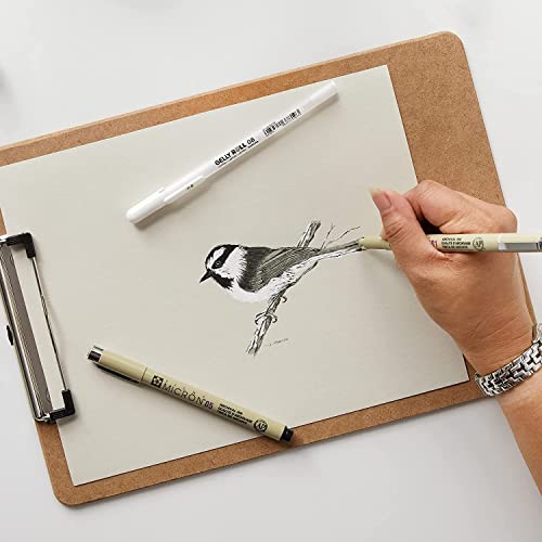 Sakura Pigma Micron Fineliner Pens - Archival Black And Gray Ink Pens - Pens For Writing, Drawing, Or Journaling - Assorted Point Sizes - 10 Pack #TOP6