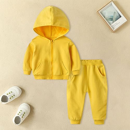 Kids Girls Soft Cotton Hoodie Sweatsuit Toddler Baby Zip up 2 Piece Tracksuit Long Tops Jogger Outfits Set Fall4