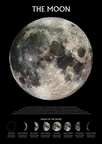 NASA Phases of the Moon Poster