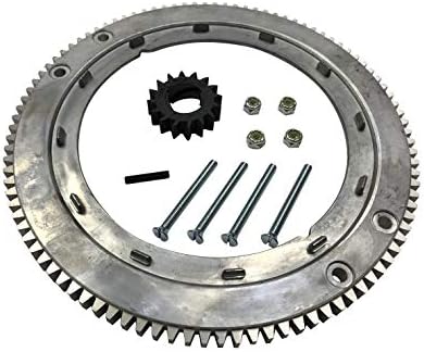 Amazon : EPR Flywheel Ring Gear Kit Replacement for Briggs