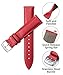 BINLUN Leather Watch Bands Quick Release Premium Calfskin Replacement Watch Strap Multicolors Watchbands for Men Women(21mm,Red)