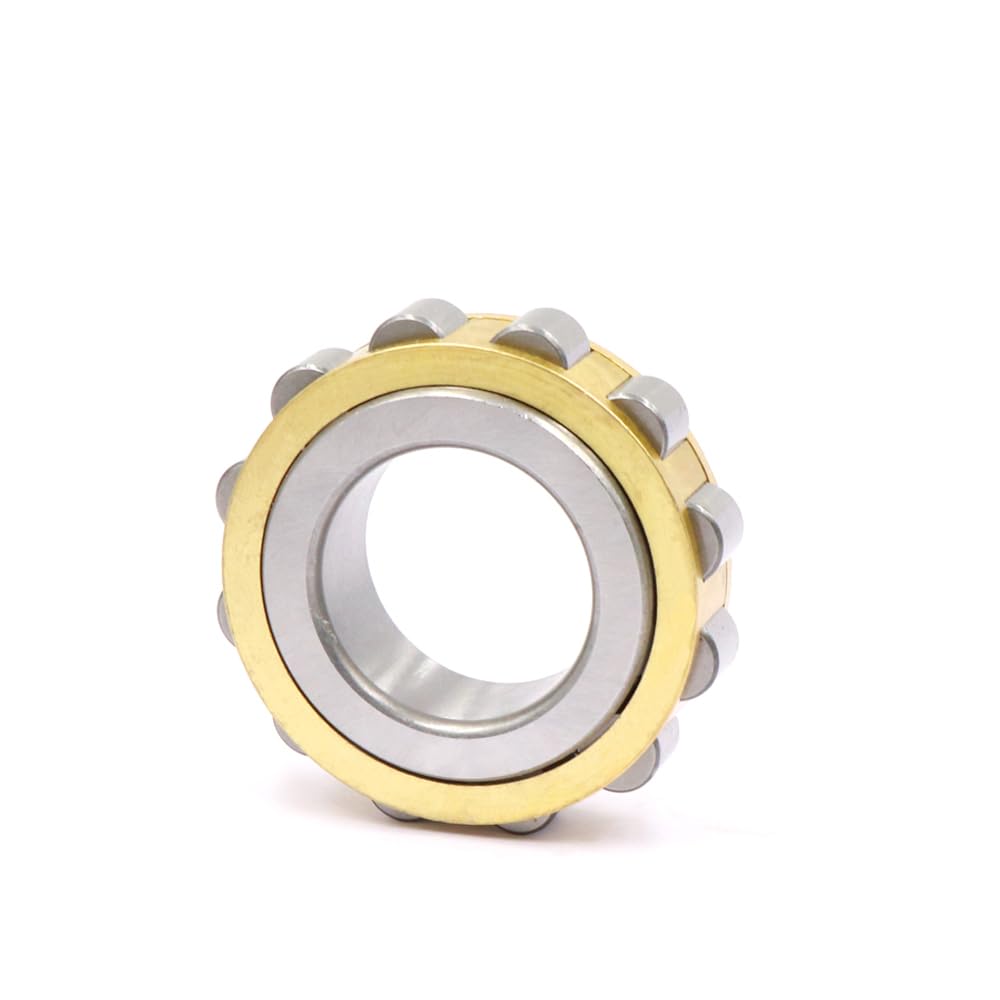 Roulements à rouleaux cylindriques RN 304 305 306 307 308 309 310 312 313 317 M Haute vitesse et durabilité Longue durée de vie(RN309 45x86.5x25)
