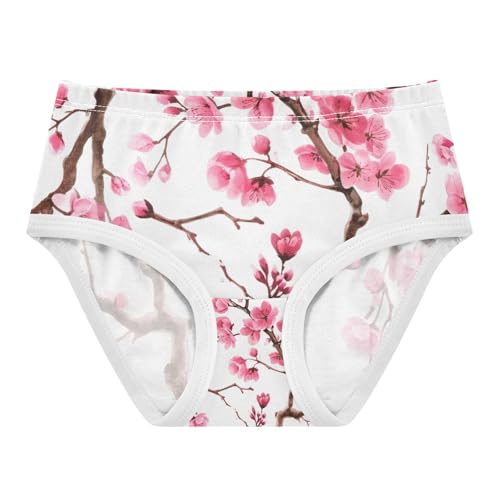 Cherry Blossom Branches Pink Toddler Girls's Underwear 2T 202c1875