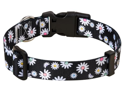 MarukoPet Dog Collar