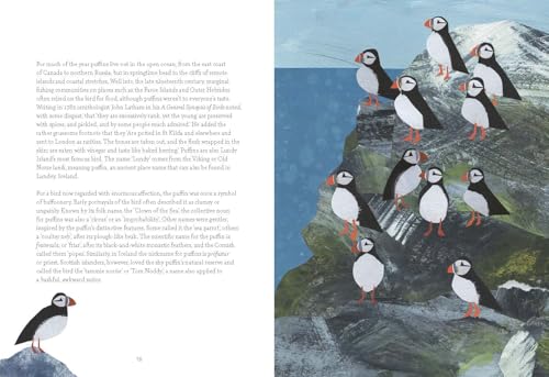 Image of Bird Lore: The Myths, Folklore and Meaning of Birds
