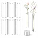 Forbabe 12 Stück 20 x 100mm Reagenzgläser Vase für Blumen zum hängen