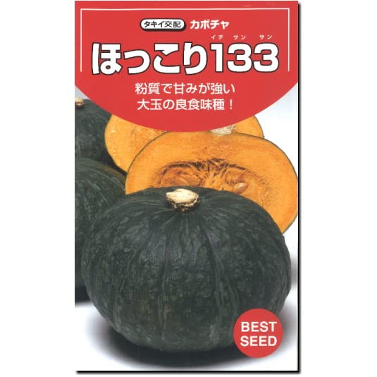 タキイ　ほっこり133  500粒 野菜種 カボチャ ほっこりえ133 10粒 タキイ交配/イケダグリーン
