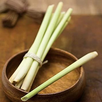 Park Seed Lemongrass Seeds