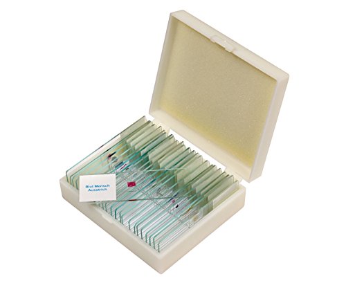 Betzold - Präparate-Set 2 – 25 Stück, Zubehör für Mikroskop, Biologie, organische Objekte