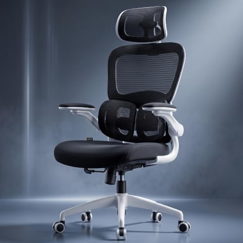 DROGO Vesby Ergonomic Office Chair for Work with Dual Adaptive Lu...