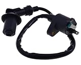 2EXTREME Zündspule inkl. Zündkerzenstecker für Peugeot Ludix 2, New Vivacity, Speedake, Speedfight 1-4, Squab, SV, TKR 50cc Roller (2-Pin, 12V, 30.000V, 2-Takt & 4-Takt)