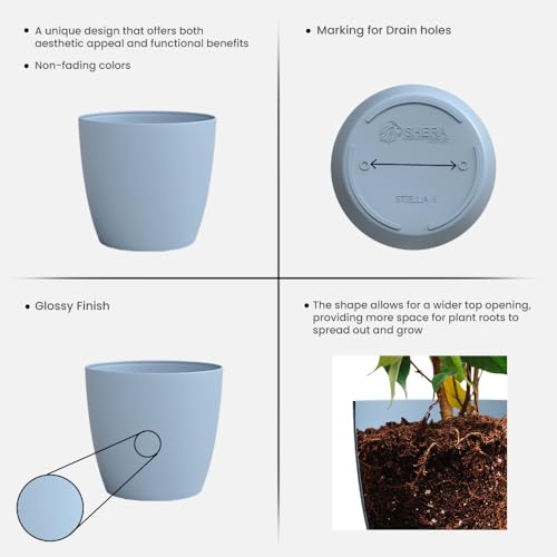 Image of YUCCABE ITALIA SHERA Stella 6 Inch Plastic Plant Pot for Home Decor Indoor Plant Pots for Living Room Plastic Flower Pot for Garden (Cyan, 6 INCH - 6 Pcs)