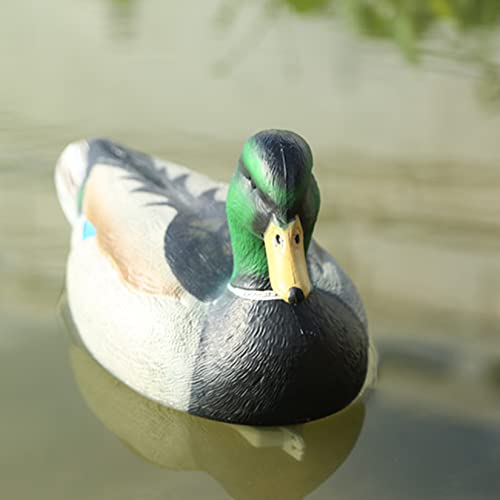 Riorand Highly Realistic Plastic Duck Decoys Hunting Decor Field Mallards Male(Big) #TOP3