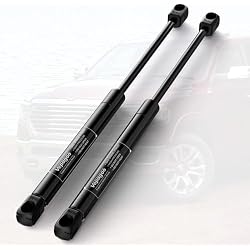 Vepagoo Front Hood Struts for Dodge Ram 1500 2009-2020, Ram 2500 2009-2018, Ram 3500 Cab & Chassis 2011-2016, Bonnet Lift Support of OEM PM3420, SG314074, 2 Pcs