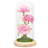 「商品仕様」素材：ガラス+木製+ソープフラワー、サイズ：長さ約13cm＊高さ約25cm、スタイル：ピンクのカーネーション、単3形電池3本をご使用ください。電池は含めていません。 「本物の美しさ」高品質なカーネーションは、水やりの必要がなく数年にわたり美しい姿を保つように作られています。取り外し可能な透明ガラスドームはほこりから花を守り、清潔な状態を維持するお手伝いをします。この持続性は、繰り返し贈り物を購入する手間を省き、一度の贈り物で長く思い出を共有したい方に適しています。 「温もりあるLED...