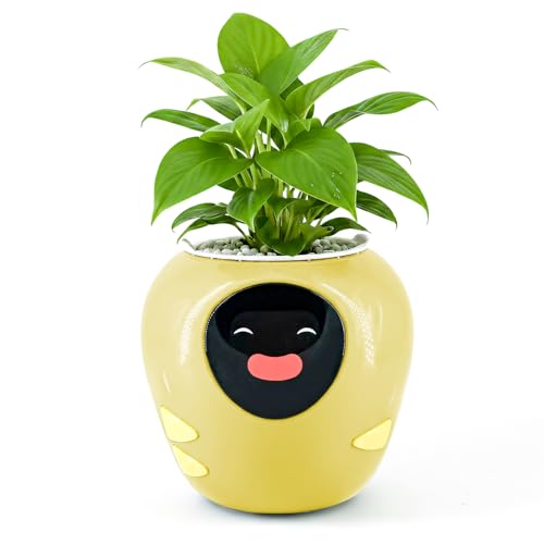 Plantbot - Plantador de plantas para mascotas grande inteligente con inteligencia...