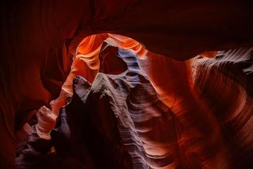 yAJ̕i|XgJ[hz A]iB S[fA[̃Ae[vLjIP͂ tHgJ[hyY photo by daikegoro