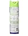 Woolite One Step Foam Carpet Cleaner - 22 oz - 2 pk