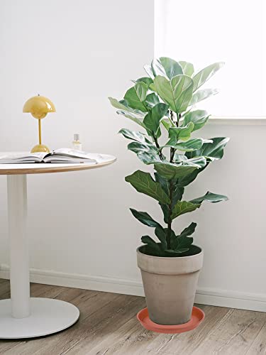 Bleuhome 6 Stück 30,5 cm Pflanzen-Untersetzer, robuster Kunststoff, 30,5 cm rund, Pflanzschale für Töpfe… – Ansicht 7