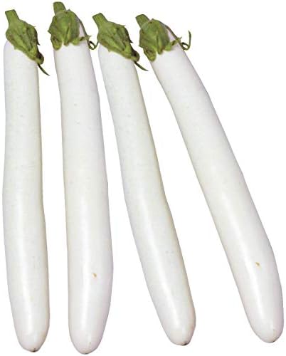 Amazon 国華園 実生野菜苗 細長ナス F1白茄子 4株 21年春商品 Diy 工具 ガーデン