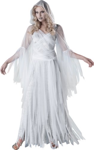 InCharacter Costumes, LLC Haunting Beauty, White/Grey, Small
