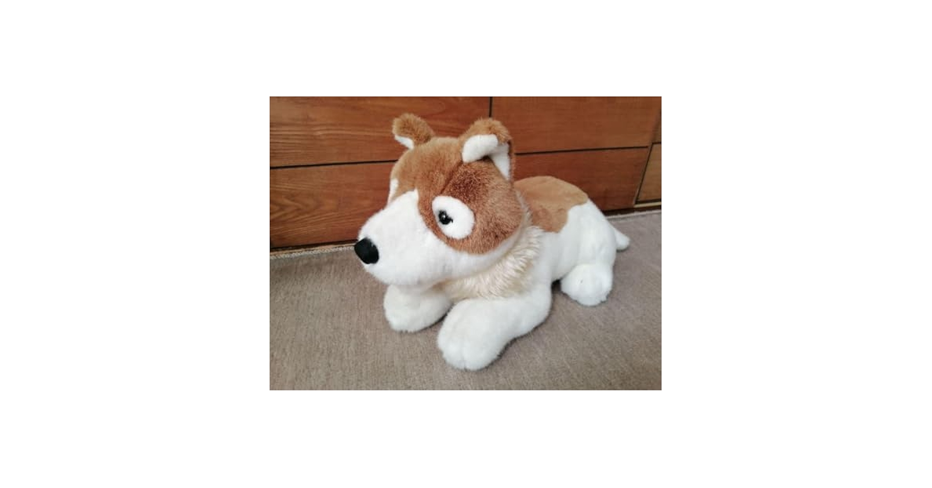 Amazon.co.jp: フランダースの犬 パトラッシュ特大ぬいぐるみ