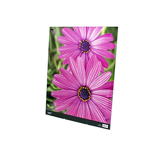Kiera Grace Klassischer transparenter Glas-Bilderrahmen, 40,6 x 50,8 cm, transparent Cover