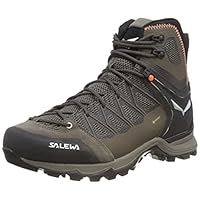 Salewa MS Mountain