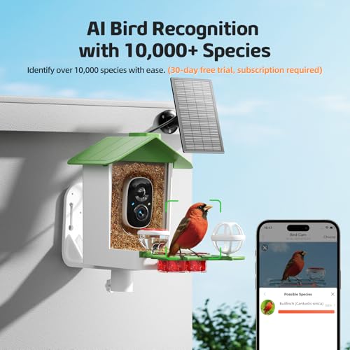 Mangeoire oiseaux caméra 2K visionnez la faune du jardin - 4