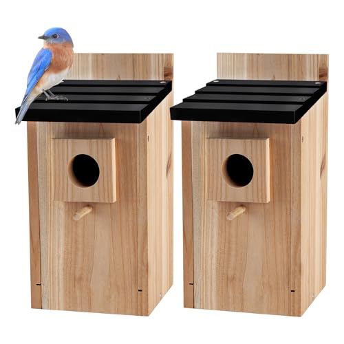CARTMAN 0.5 Inch Thick Blue Bird Box House, Wood Bird Houses for Outside, Hummingbird House for Outside Clearance Garden Country Cottages, 2PK