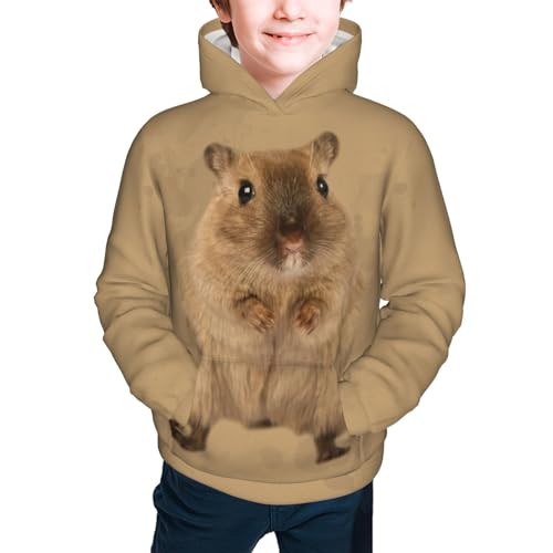 Cute Hamster Boy, Girls Sports Shirt Youth Pullover Fashion Hooded Sweatshirt