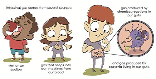 The Science Behind Farting: A Funny Book About Farts, Science, Nature & How Things Work (Funny STEAM) - Image 5