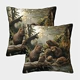 QBIREX Funda de Almohada Marmot antialérgica con Cierre de sobre (45 x 45 cm)