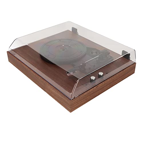 Tourne-Disque Stéréo en Vinyle 5.0 Haut-Parleur intégré Enregistrement de Film Portable Lecteur de Vinyle LP Vinyl… - Les Beatles, Paul McCartney, John Lennon, RIngo Starr, George Harrison Tourne-Disque Stéréo en Vinyle 5.0 Haut-Parleur intégré Enregistrement de Film Portable Lecteur de Vinyle LP Vinyl…