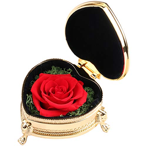 Childom Preserved Flower Gift for girlfriend, Red Rose, Handmade Preserved Rose Present, Immortal