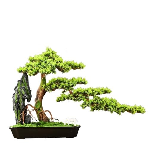 Acuarios Grandes con Mueble Marca FAJNUZI2024